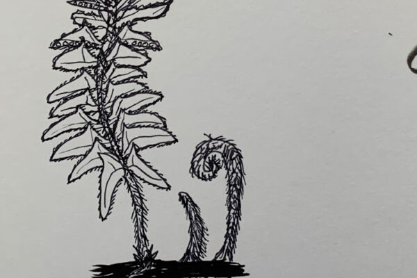 Plant Friends