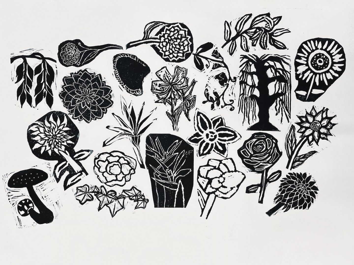 A Garden of Hope: A Collaboration with Hope Forward
