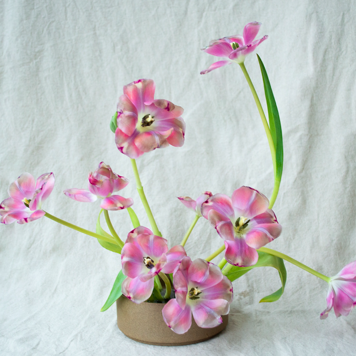 A Journey in Flowers: Kids