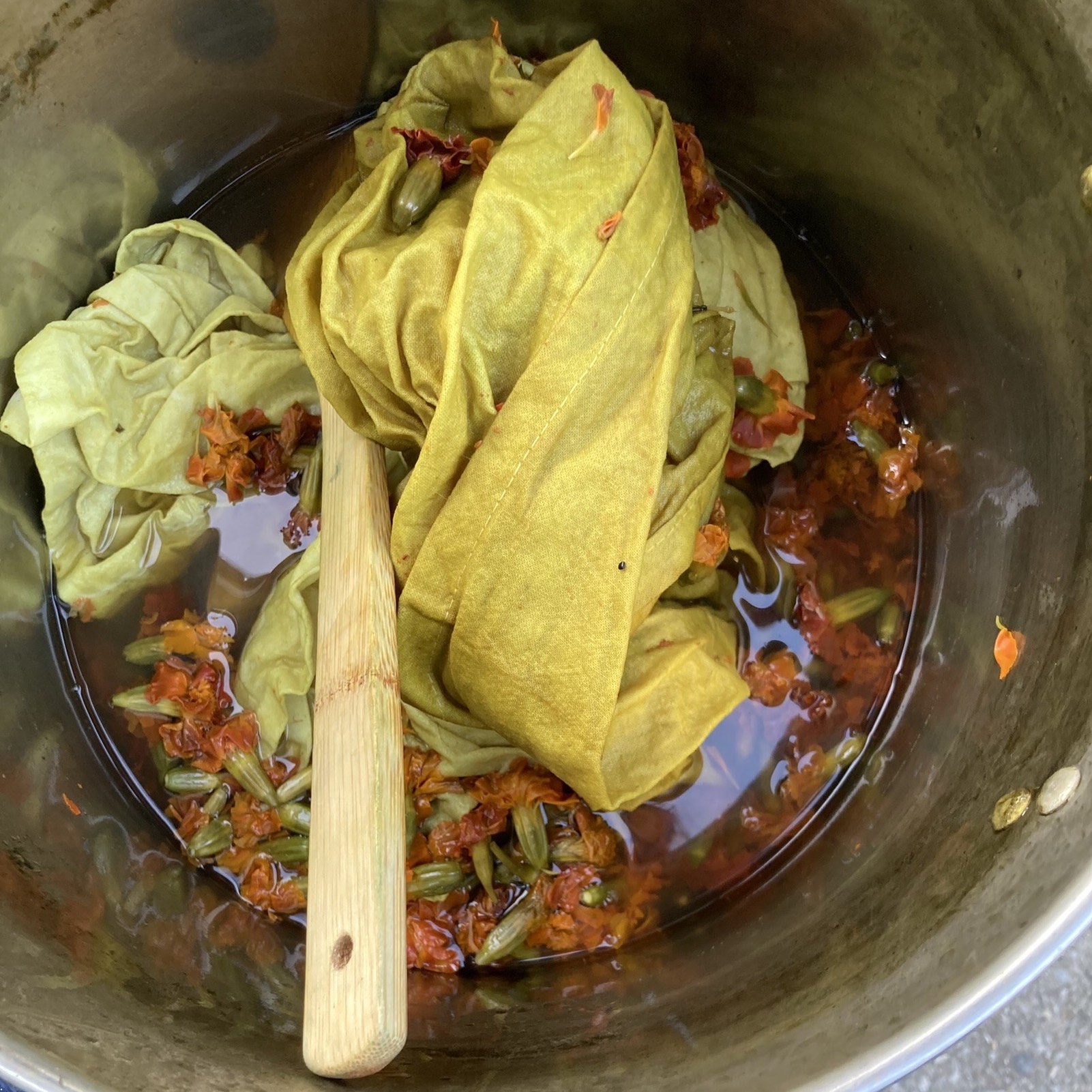 Natural Dyes